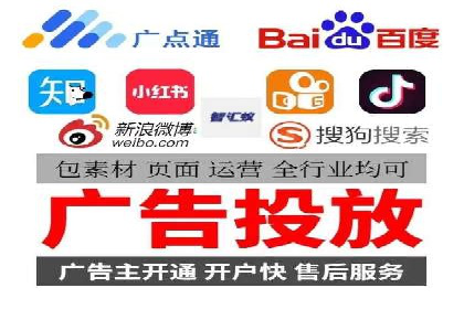 解析某某SEM服务公司的广告投放策略与效果评估